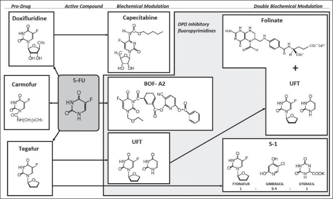 The FU drugs, including S1